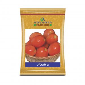 ADVANTA/UPL TOMATO JAYAM 2 (3000 seeds)