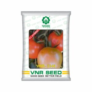 VNR Tomato VNC 3348 hybrid (10 gm)