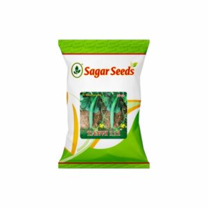 Sagar tanvi 111 (green) F-1 Hybrid Cucumber Seeds (25 gm)