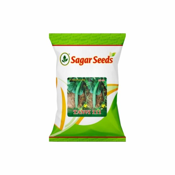 Sagar tanvi 111 (green) F-1 Hybrid Cucumber Seeds (25 gm)