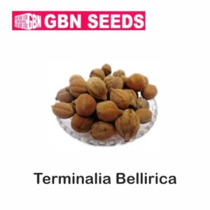 GBN terminallia bellirica (Bahera) seeds (1 KG)(pack of 10)