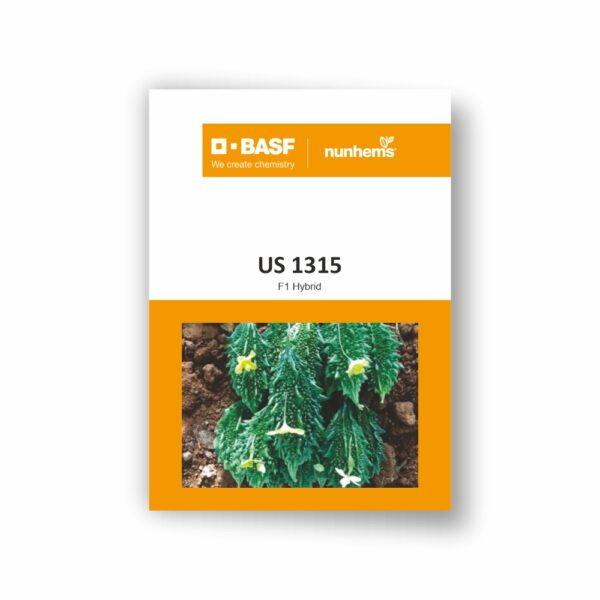 BASF Nunhems Bitter Gourd US 1315 (250 Seeds)