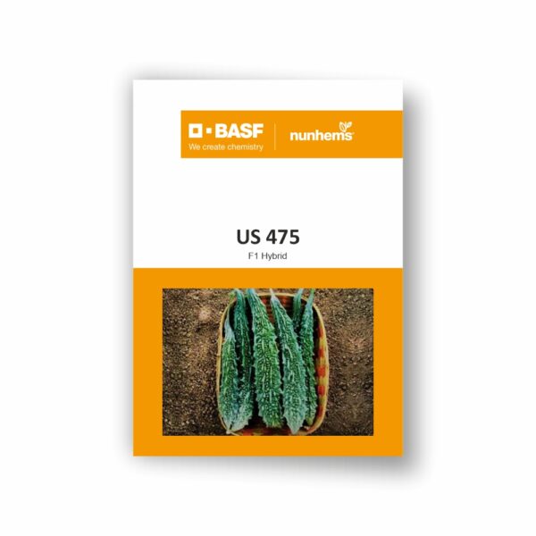 BASF Nunhems Bitter Gourd US 475 (500 Seeds)