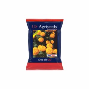Us Agriseeds Hybrid Marigold Seeds sw 507 (1000 SEEDS)