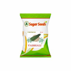 Sagar Vaishali F-1 Hybrid Ridge Gourd Seeds (50 gm)