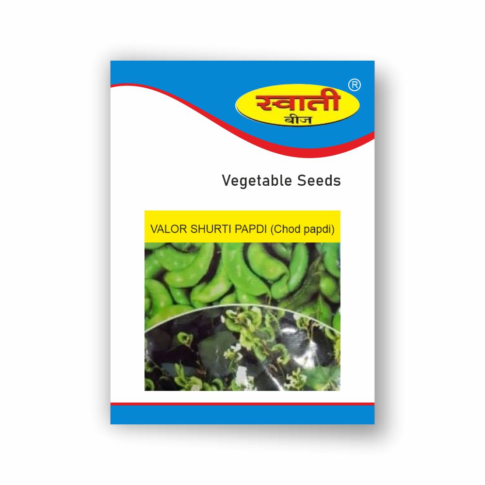 SWATI VALOR SHURTI PAPDI (CHOD PAPDI) (500 GM)