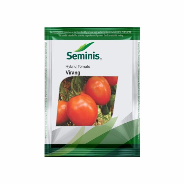 SEMINIS TOMATO VIRANG (3500 SEEDS)