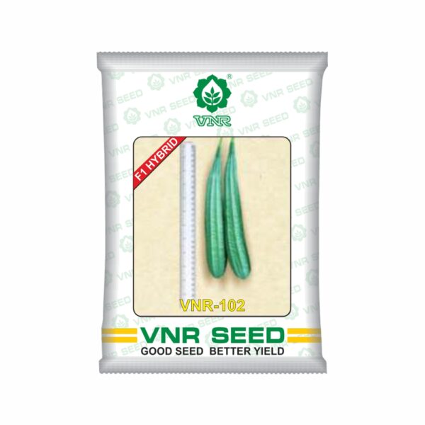 VNR Ridge gourd HYBRID 102 (10 GM)
