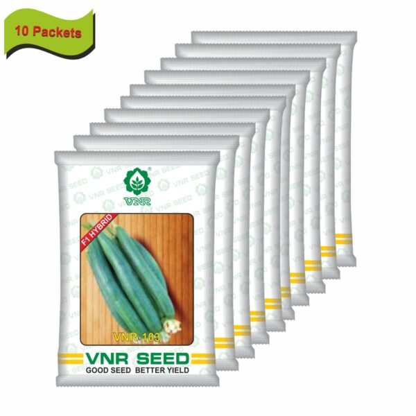 VNR Sponge Gourd VNR 103 Hybrid (10 GM)(10 packets) - Image 2