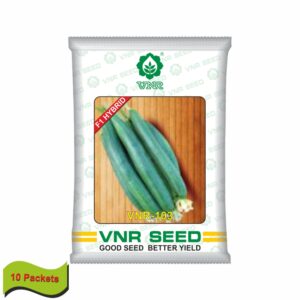 VNR Sponge Gourd VNR 103 Hybrid (10 GM)(10 packets)