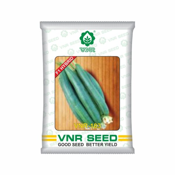 VNR Sponge Gourd VNR 103 Hybrid (50 GM)