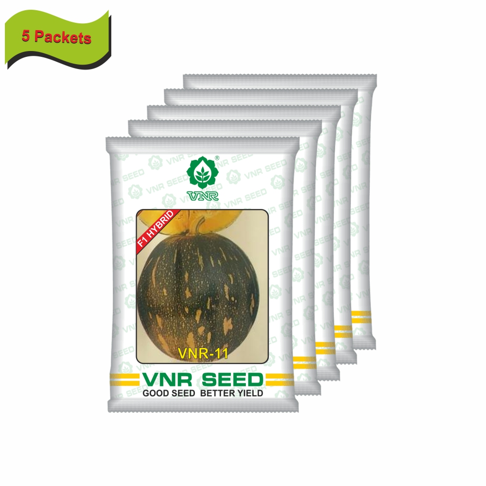 VNR Pumpkin hybrid 11 (10 gm) (5 packets) - Image 2