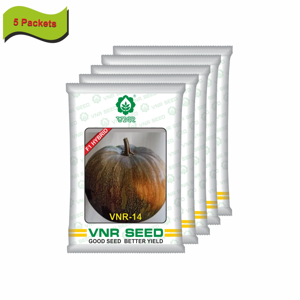 VNR Pumpkin hybrid 14 (10 gm) (5 packets) - Image 2