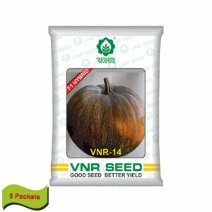 VNR Pumpkin hybrid 14 (10 gm) (5 packets)