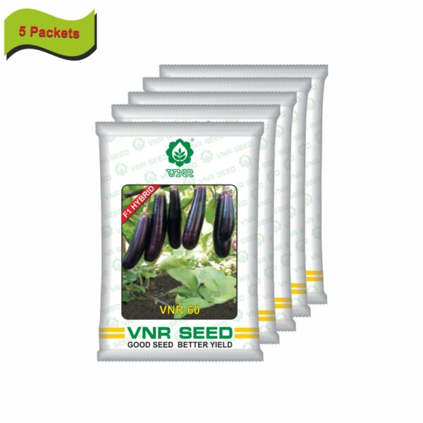VNR Brinjal hybrid 60 (10 GM) (5 packets) - Image 2