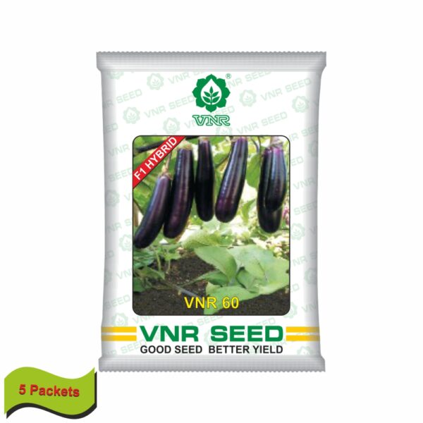 VNR Brinjal hybrid 60 (10 GM) (5 packets)