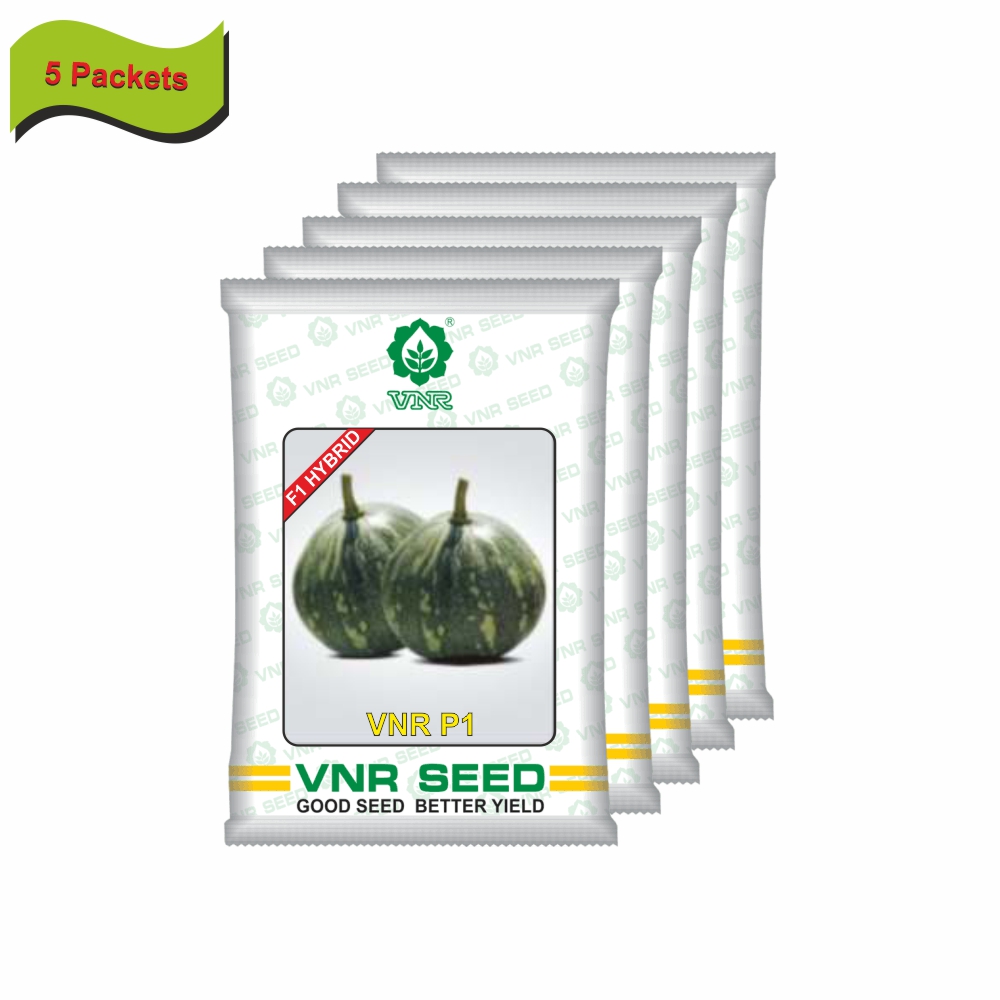 VNR Pumpkin hybrid p-1 (10 gm) (5 packets) - Image 2