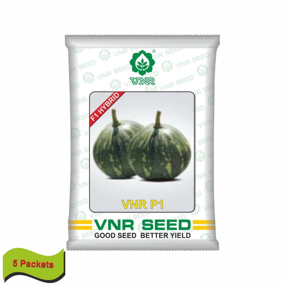 VNR Pumpkin hybrid p-1 (10 gm) (5 packets)