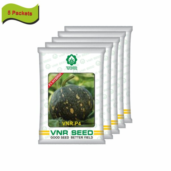 VNR Pumpkin hybrid p4 (10 gm) (5 packets)  - Image 2