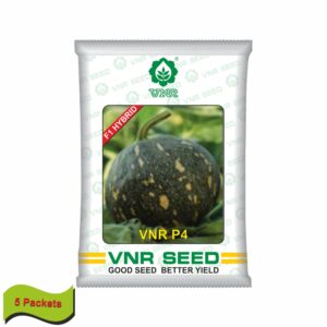 VNR Pumpkin hybrid p4 (10 gm) (5 packets) 