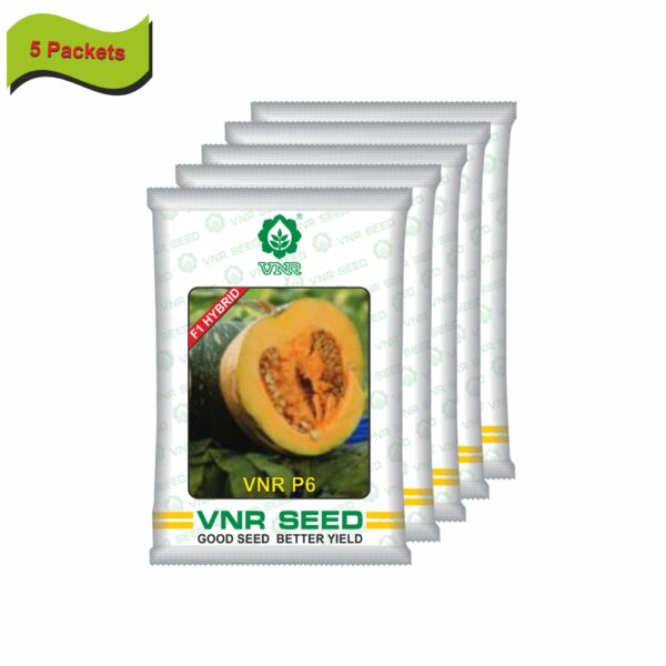 VNR Pumpkin hybrid p6 (10 gm) (5 packets) - Image 2
