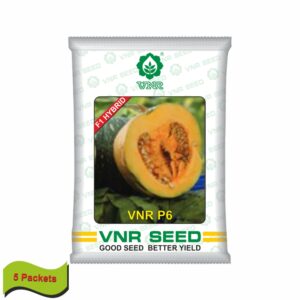 VNR Pumpkin hybrid p6 (10 gm) (5 packets)