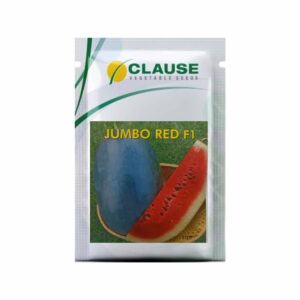 CLAUSE WATER MELON JUMBO RED F1 (25 GM)