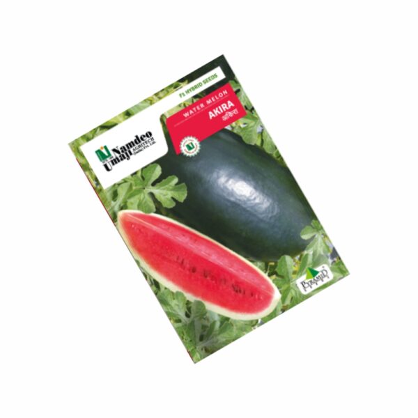 NAMDEO WATER MELON AKIRA (10000 SEEDS)