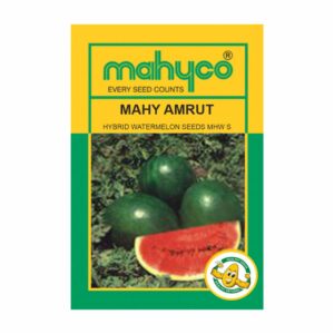 mahyco WATERMELON AMRUT(G) 50 GM