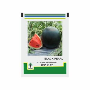 KALASH Water Melon KSP 1127 Black Pearl F1 (50 GM)