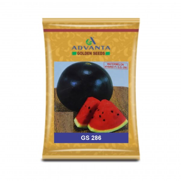 ADVANTA/UPL Watermelon Gs-286 (50 Gm)