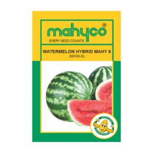 mahyco WATERMELON HY.MAHY 6 (MHW-6)  50 GM