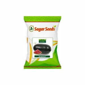 Sagar marvel F-1 Hybrid Watermelon Seeds (25 GM)