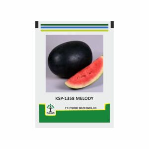 KALASH Water Melon KSP 1358 Melody F1 (50 GM)