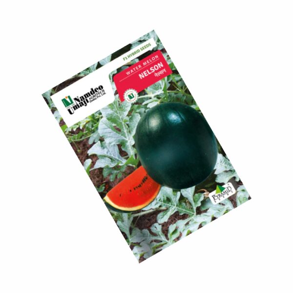 NAMDEO WATER MELON NELSON (50 GM)