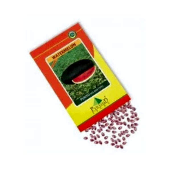 NAMDEO WATERMELON NU-PUNTO (50 GM)