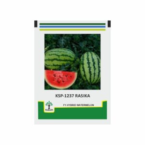 KALASH Water Melon KSP 1237 Rasika F1 (50 GM)