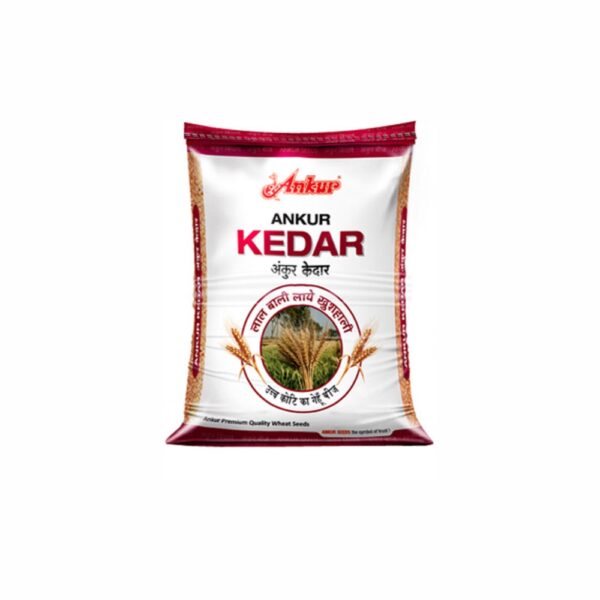 ANKUR WHEAT KEDAR (20 KG)