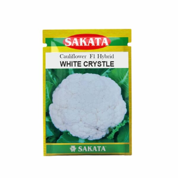 SAKATA CAULIFLOWER F1 WHITE CRYSTAL (10 GM) (POUCH)