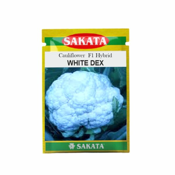 SAKATA CAULIFLOWER F1 WHITE DEX (10 GM) (POUCH)