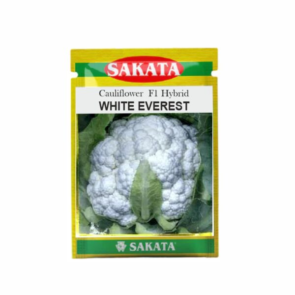SAKATA CAULIFLOWER F1 WHITE EVEREST (10 GM) (POUCH)