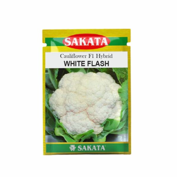 SAKATA CAULIFLOWER F1 WHITE FLASH (10 GM) (POUCH)