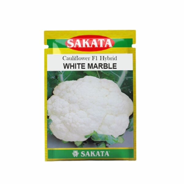 SAKATA CAULIFLOWER F1 WHITE MARBLE (10 GM) (POUCH)