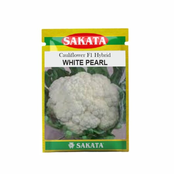 SAKATA CAULIFLOWER F1 WHITE PEARL (10 GM) (POUCH)