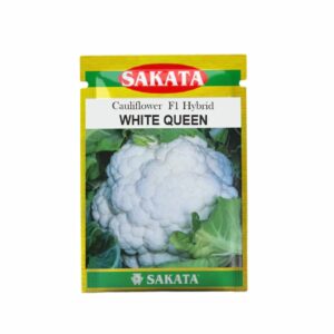 SAKATA CAULIFLOWER white queen (10 GM) (POUCH)
