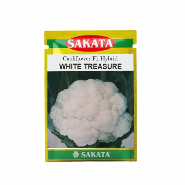 SAKATA CAULIFLOWER F1 WHITE TREASURE (10 GM) (POUCH)