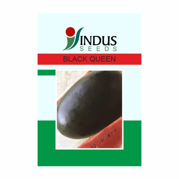 I&b WATERMELON HY. BLACK QUEEN PLUS (1000 SEEDS)