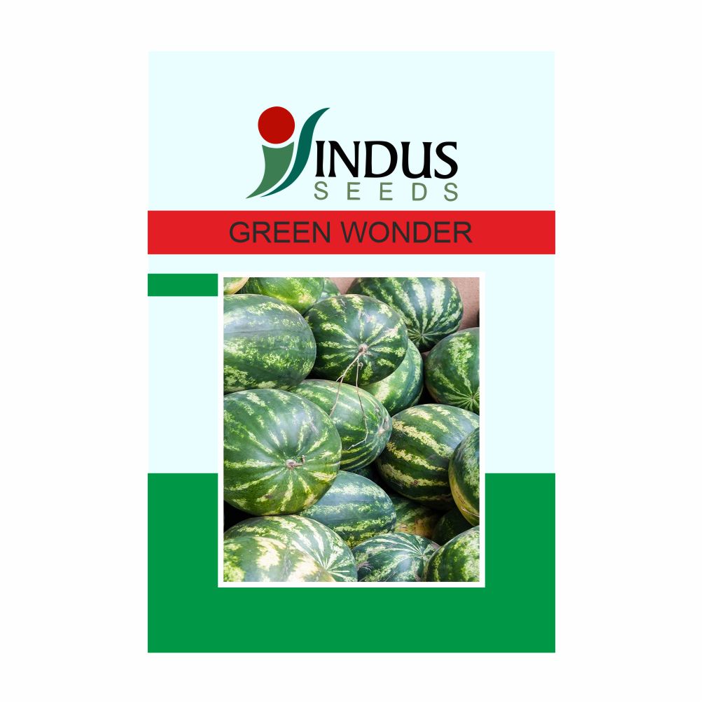 I&b WATERMELON HY. GREEN WONDER (1000 SEED)