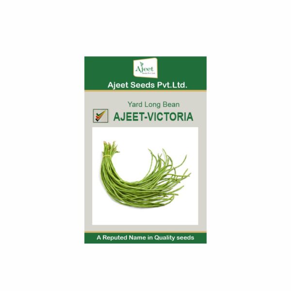 AJEET IMPROVED YARD LONG BEAN VICTORIA (100 GM)