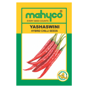 mahyco CHILLI  HY.  MHCP-345 (YASHASWINI)  10GM